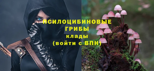 mdpv Баксан