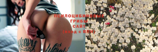 mdpv Баксан