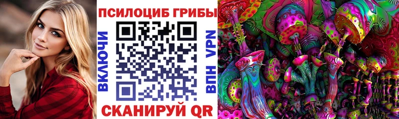 Купить  Сорск  Галлюциногенные грибы Psilocybe 